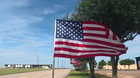 Multiple American Flags Waving Along Roadside Under Blue Sky Stock Footage 336874011