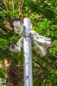 Multiple Angle Outdoor CCTV Camera on the Pole near the Tree Stock Photos