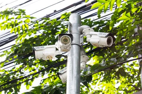 Multiple Angle Outdoor CCTV Camera on the Pole near the Tree Stock Photos