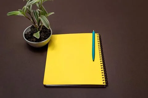 Multiple Assorted Collection Office Stationery Photo With Pens Pencils Note.. Stock Photos