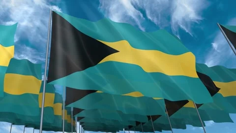 Multiple Bahamas flags seamless looping waving on blue sky Stock Footage 343676341