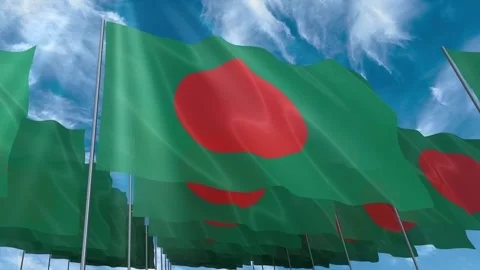 Multiple Bangladesh flags seamless looping waving on blue sky Stock Footage 343676407