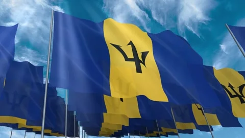 Multiple Barbados flags seamless looping waving on blue sky Stock Footage 343676529