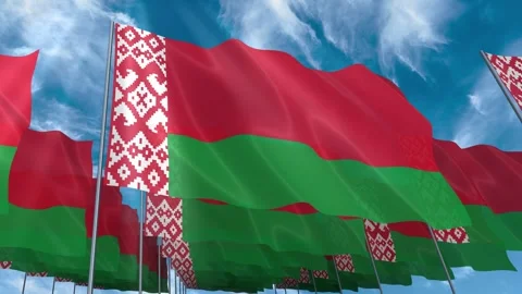 Multiple Belarus flags seamless looping waving on blue sky Stock Footage 343676536
