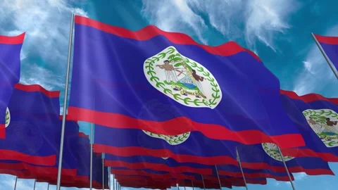 Multiple Belize flags seamless looping waving on blue sky Stock Footage 343676752
