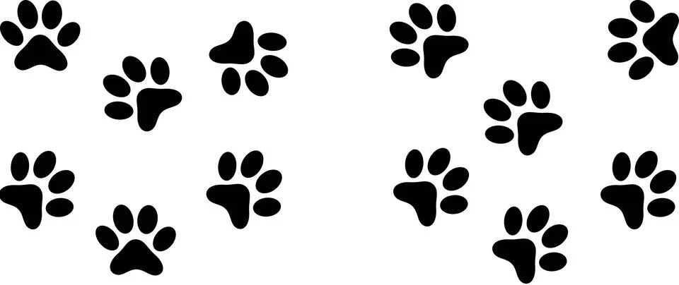 Multiple black paw print shapes arranged against a plain white background. Stock Illustration