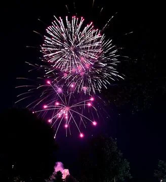 Multiple bloom fireworks  Stock Photos