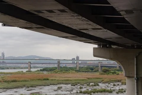 Multiple Bridges Seen From Under Pier Over Wetland Floodway 스톡 사진