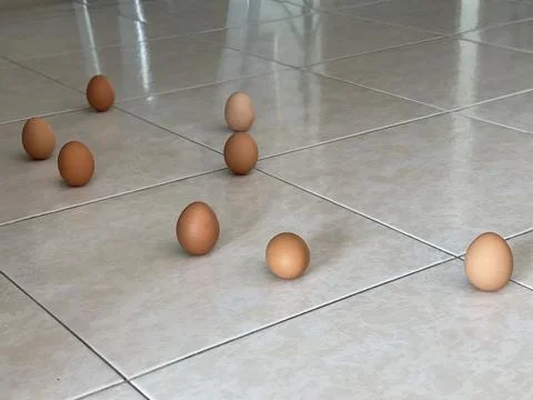 Multiple Brown Eggs Balanced Upright On Tiled Floor For Lichun Tradition Stock Photos