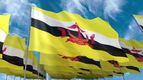 Multiple Brunei flags seamless looping waving on blue sky Stock Footage 343677409