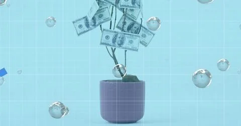 Multiple bubbles floating against graphs moving over tree of american dollars Ilustração Stock