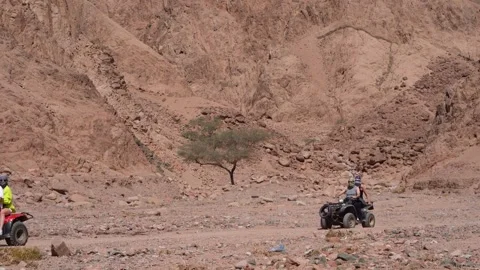 Multiple Buggy During a Trip in a Stone Desert. Mountain Landscape with 動画素材 240201791