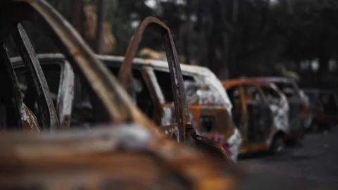 Multiple burned vehicles outdoors among trees Stock-Footage 345860436