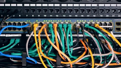 Multiple cables connected to slots. Modern data center. Stock Footage 111292506