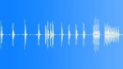 Multiple camera shutter clicks, SFXSound Effect