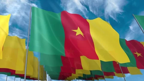 Multiple Cameroon flags seamless looping waving on blue sky Stock Footage 343677652