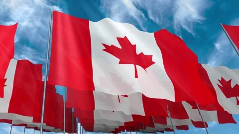 Multiple Canada flags seamless looping waving on blue sky Stock Footage 343677701