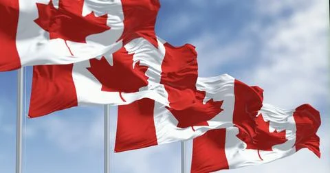 Multiple Canadian Flags Waving on Flagpoles Under Blue Sky Stock Illustration