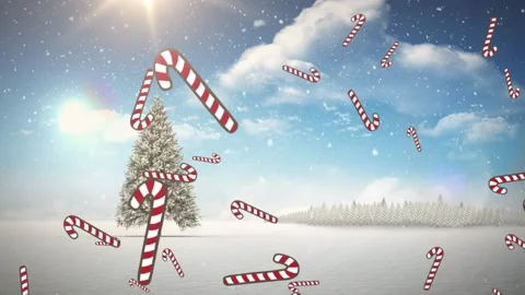 Multiple candy cane icons and snow falling over christmas tree on winter Stock Footage 162931507