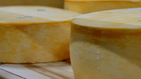 Multiple cheese wheels ripening on the shelves after the production process Stock Footage 289241727