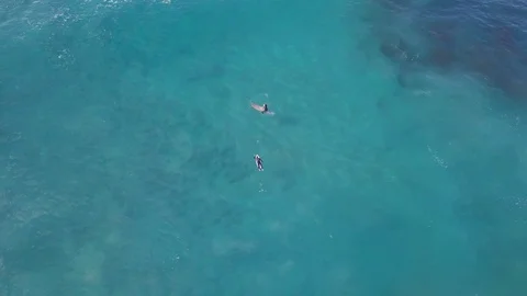 Multiple clips of a surf spot in Sardinia - Drone flight Stock Footage 94508222