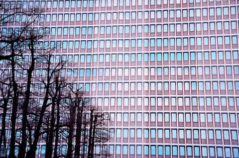 Multiple closed windows on a large office building with trees.Original wallpa Stock Photos