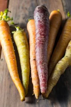 Multiple colored organic carrots vegetable Stock Photos