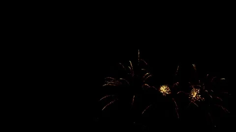 Multiple colorful fireworks exploding in the dark night sky Stock Footage 329676200