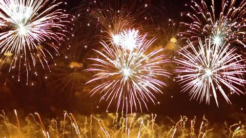 Multiple Colorful Fireworks Exploding in Night Sky Video stock 329616111