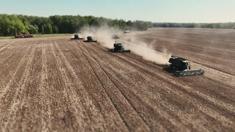 Multiple Combine Harvesters Working in Formation Across Large Farm Field. Stock Footage 346797470
