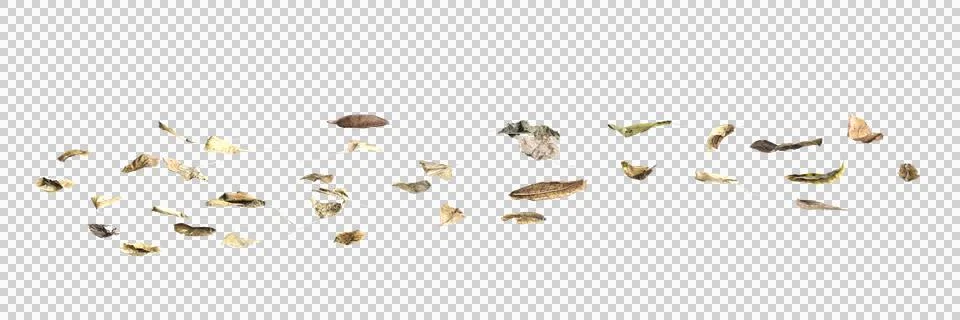 Multiple dead leaves 3d illustration on transparent background Stock Illustration