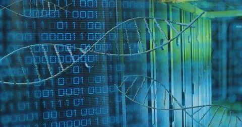 Multiple dna structure spinning and binary coding data processing against Stock Photos