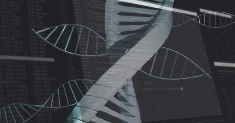 Multiple dna structures floating against data processing on black background Stock Photos