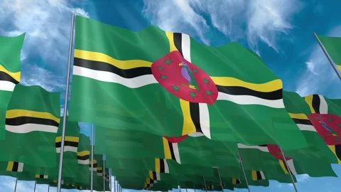 Multiple Dominica flags seamless looping waving on blue sky Stock Footage 343679265