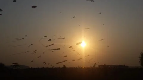 Multiple dragon silhouettes in sky sunset, Kite festival, Goa, India Foto stock
