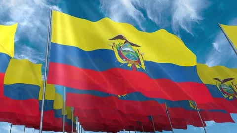 Multiple Ecuador flags seamless looping waving on blue sky Stock Footage 343679378