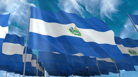 Multiple El Salvador flags seamless looping waving on blue sky Stock Footage 343679536