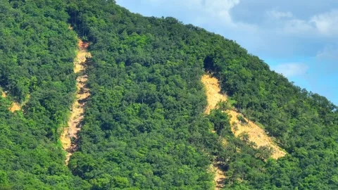 Multiple erosion channels cut through a tropical forest mountain. Stock Footage 346970020