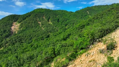 Multiple erosion channels cut through a tropical forest mountain. Video stock 346970087