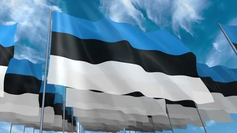 Multiple Estonia flags seamless looping waving on blue sky Stock Footage 343679845