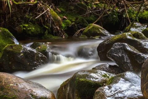 Multiple exposure of the cold stream of a ravine in the mountains near the co Stock Photos