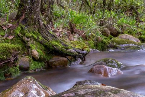 Multiple exposure of the cold stream of a ravine in the mountains near the co Stock-Fotos