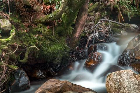 Multiple exposure of a cold stream of water in a mountain creek. Captured in  Stock Photos