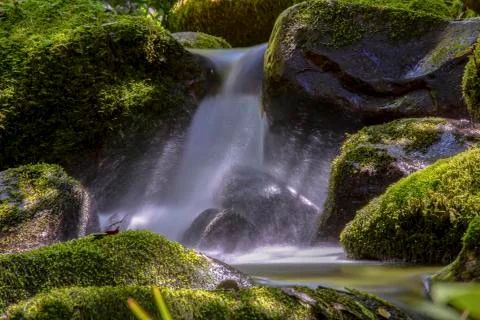 Multiple exposure of different spots of a ravine with rocks covered in moss a Stock Photos