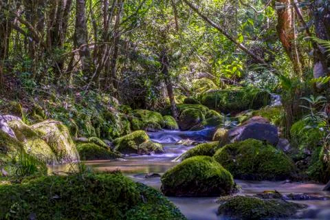 Multiple exposure of different spots of a ravine with rocks covered in moss a Stock Photos