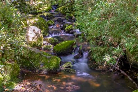 Multiple exposure of different spots of a ravine with rocks covered in moss a Foto stock