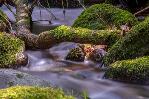 Multiple exposure of different spots of a ravine with rocks covered in moss a Stock Photos