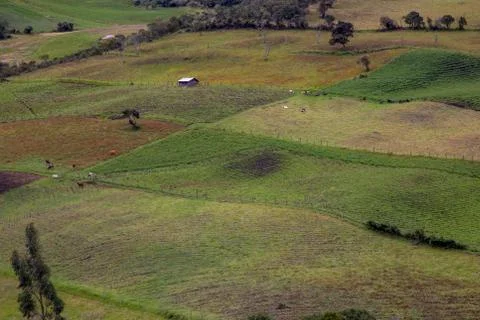 Multiple exposure of farmlands in different stages of the crops and a house,  Foto stock