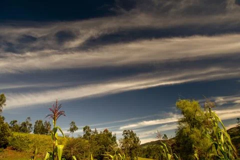 Multiple exposure of some loops in the clouds of the early morning sky over a Foto stock
