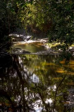 Multiple exposure of the stream of a river in the highlands of the Andean mou Foto stock